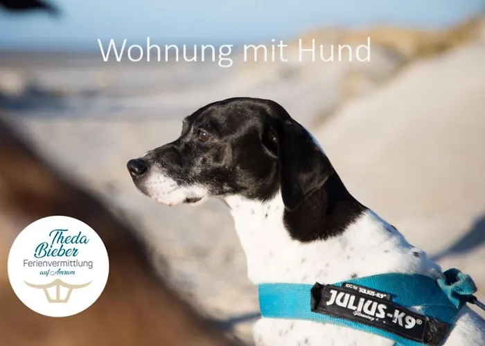 Adas Hues - 5 * Norddorf